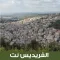 الفريديس نت