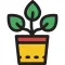 My Perfect Plants