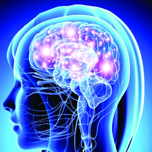 Learn Nervous System Learn Nervous System