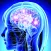 Learn Nervous System