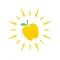 Native Sun