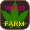 Weed Farm Tycoon the Next Generation - Run A Ganja Firm And Become The Tea Farm Boss