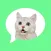 Message Stickers: cat emoticon