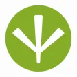 MONDO - Learning Japanese App