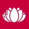 Waterlily