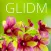 Greater Long Island Dental