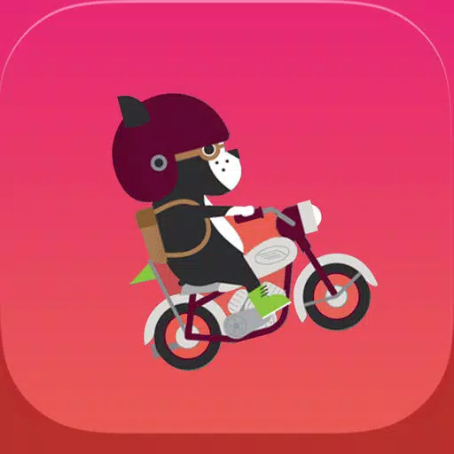 Motor Jump - Freestyle Motorcross Motor Jump - Freestyle Motorcross