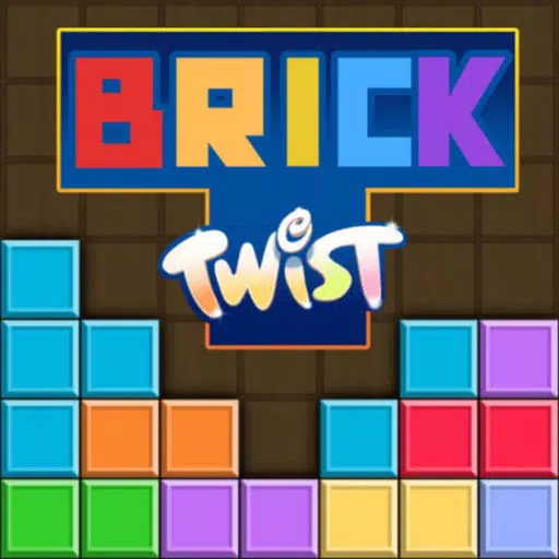 Puzzledom Brick Puzzledom Brick