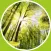 Relaxing music - calming music