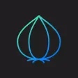 Onion Cam