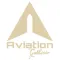 Aviation Gathering
