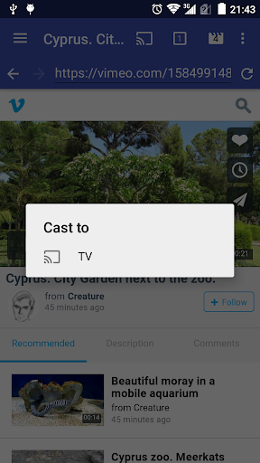 ReCaster - online videos to an Screenshots