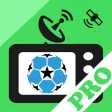 Champions League on TV PRO: live football matches on satellite tv channels schedule