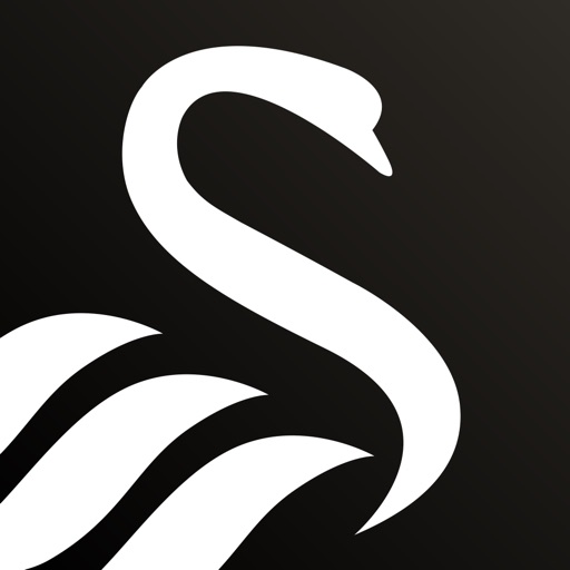 Swansea City Swansea City