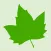 The Botany Quiz