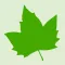 The Botany Quiz