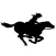 Pony Ryde
