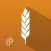 Grain Crazy