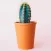 Plant Care App
