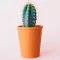 Plant Care App