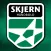 Skjern Håndbold