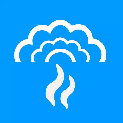 Steam Pro