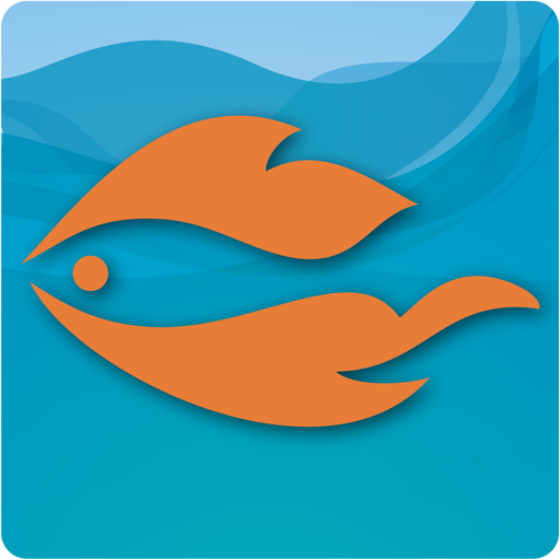 Speedy Fish