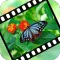 VideoStiller ~ Pull out special "moments" from your video!