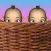 Boy or Girl? Prediction Games