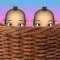 Boy or Girl? Prediction Games