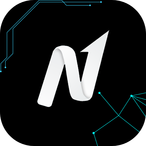 Newton en Red