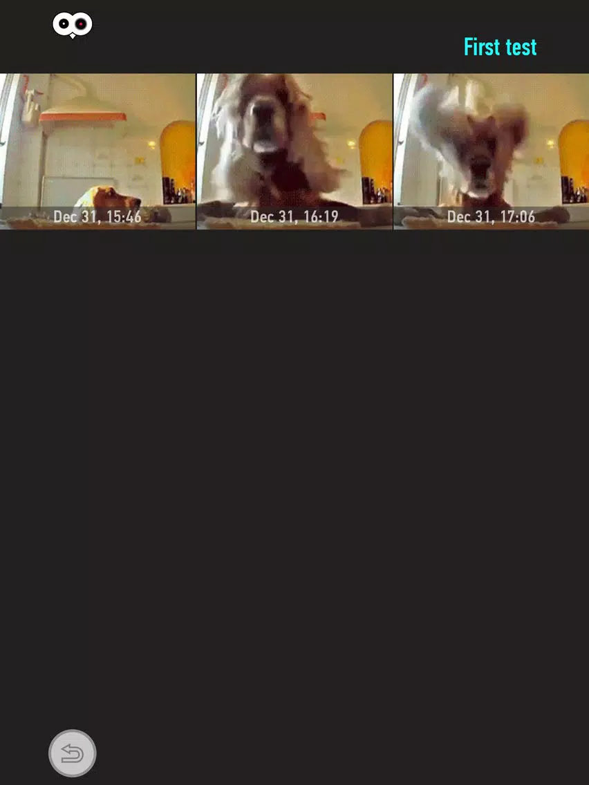 Motion sensor - motion detecting, hidden camera, video surveillance. iPad Screenshots