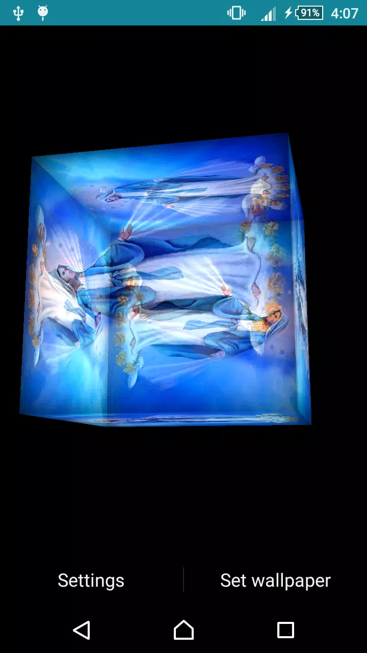 Virgin Mary Live Wallpaper Screenshots