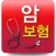 암보험 상담