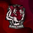 Black Tiger Airsoft