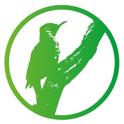 arü.app arü.app