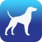 Pet Travel