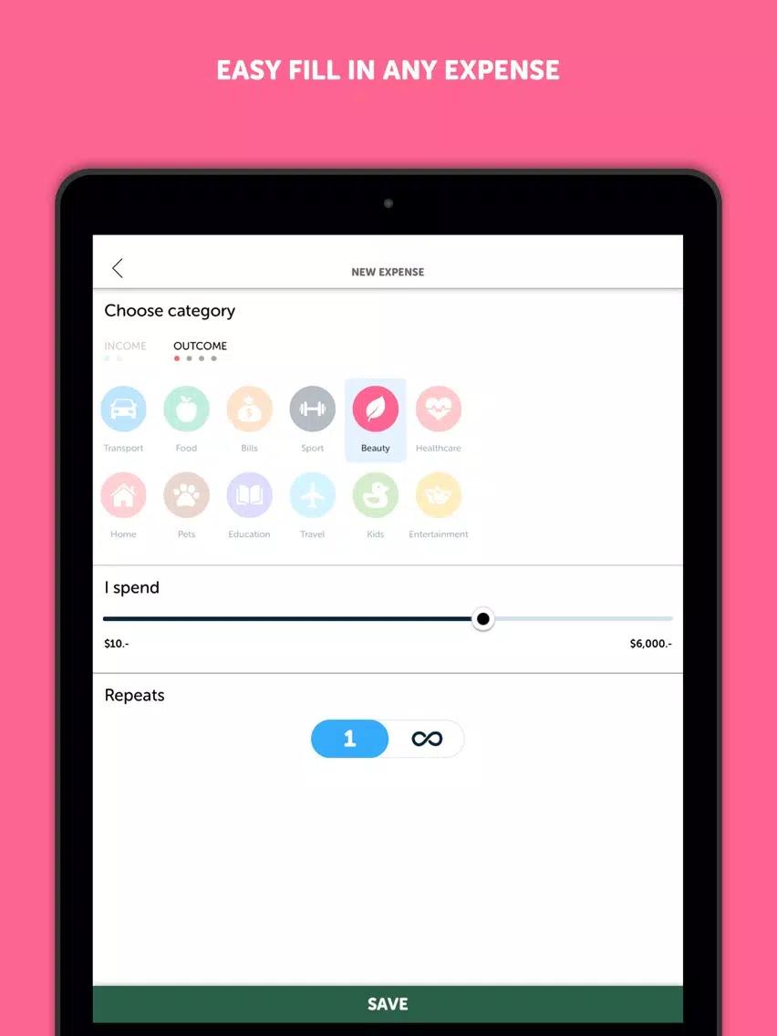 BudgetBook! iPad Screenshots