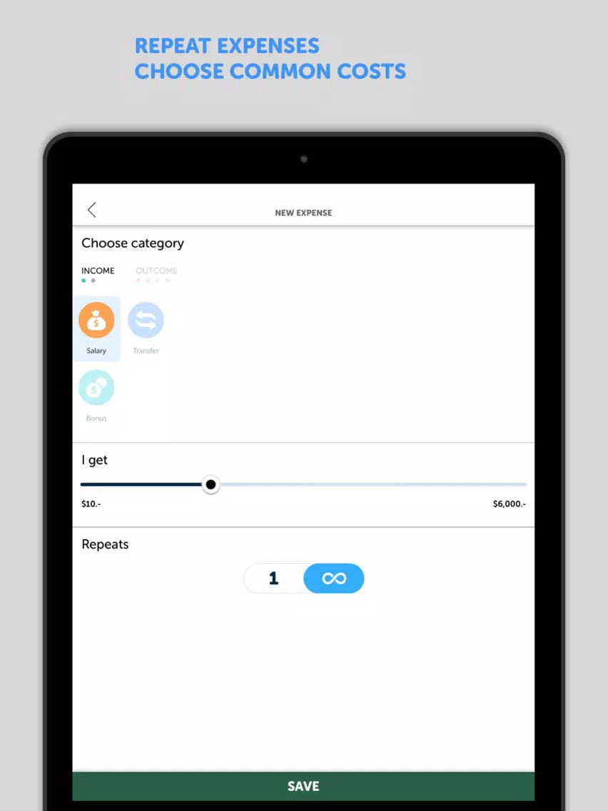 BudgetBook! iPad Screenshots