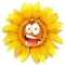 Sunflower Smiley Stickers