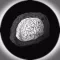 BrainF