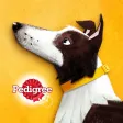 A Dog’s Story