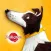 A Dog’s Story
