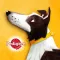 A Dog’s Story