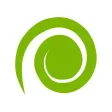 Kiwi Campers