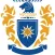 Massey University Content Creators