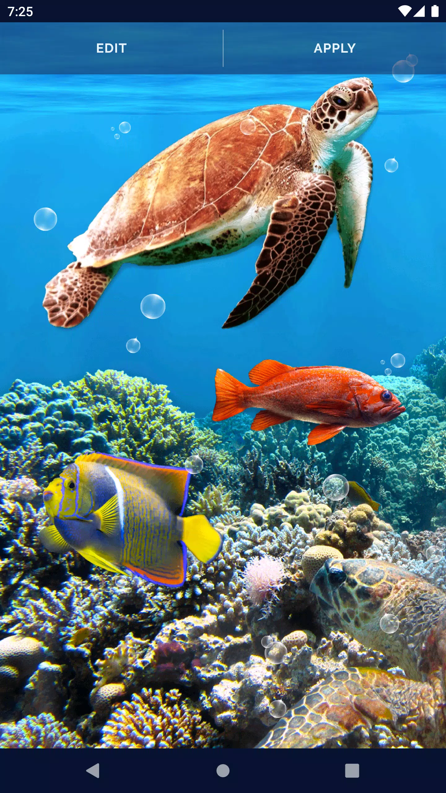 Fish Ocean Live Wallpaper Screenshots