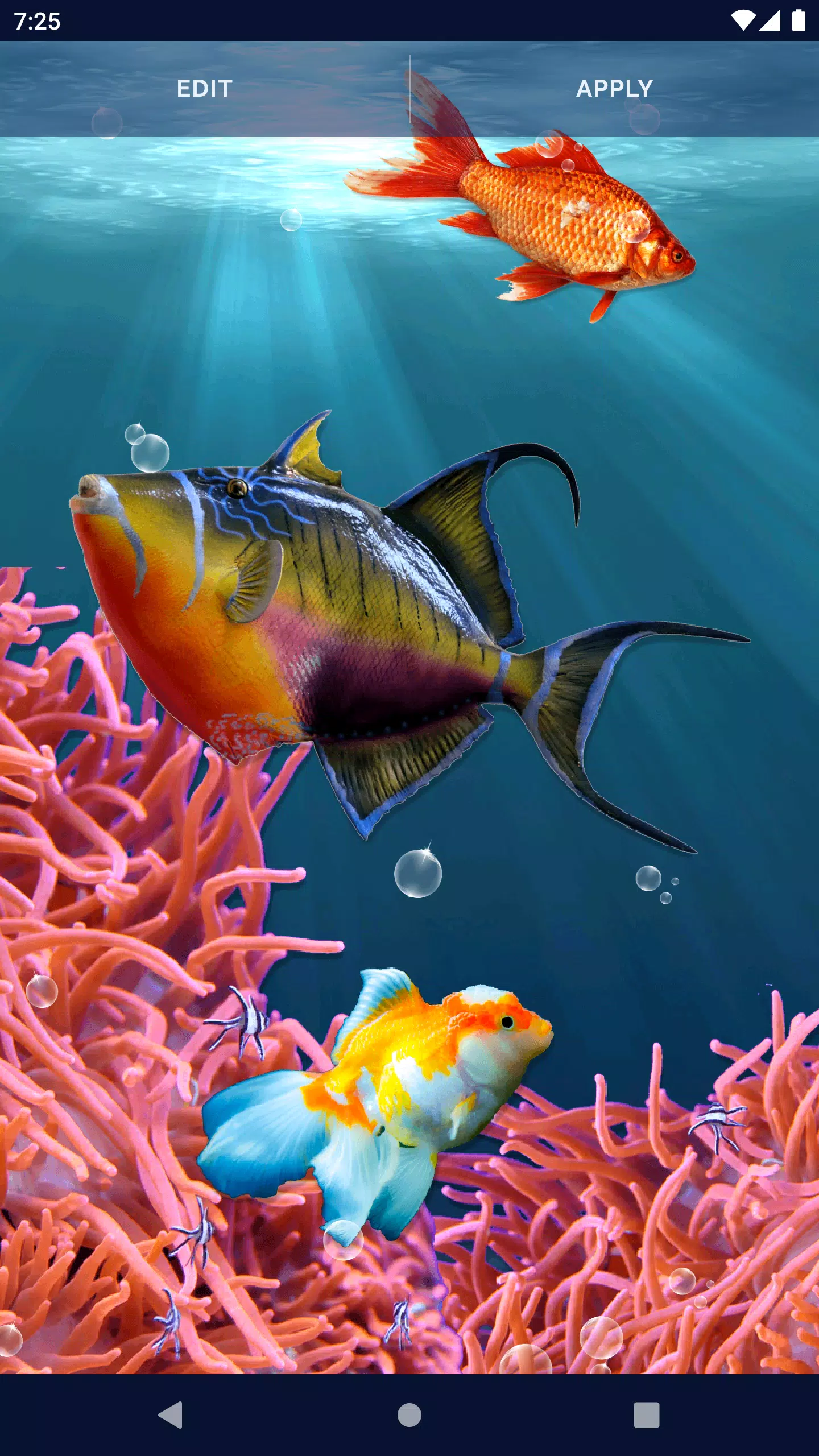 Fish Ocean Live Wallpaper Screenshots