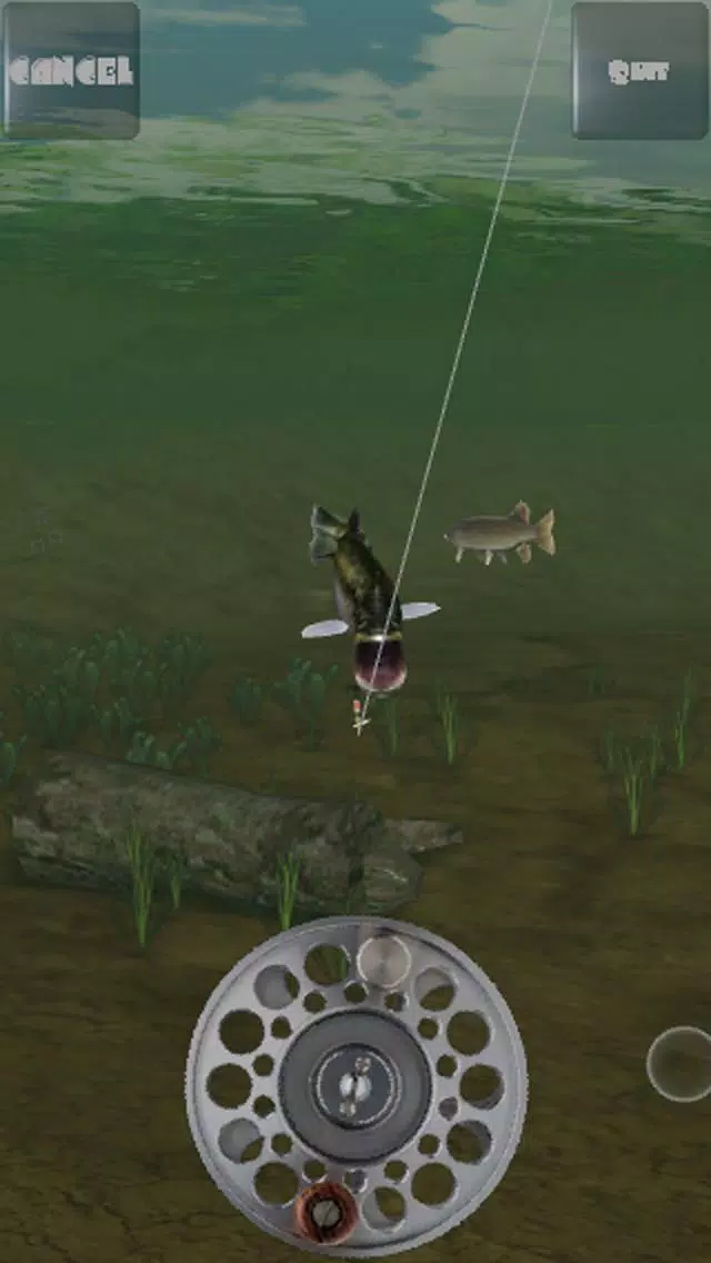 Fishing Arcade Lite Screenshots