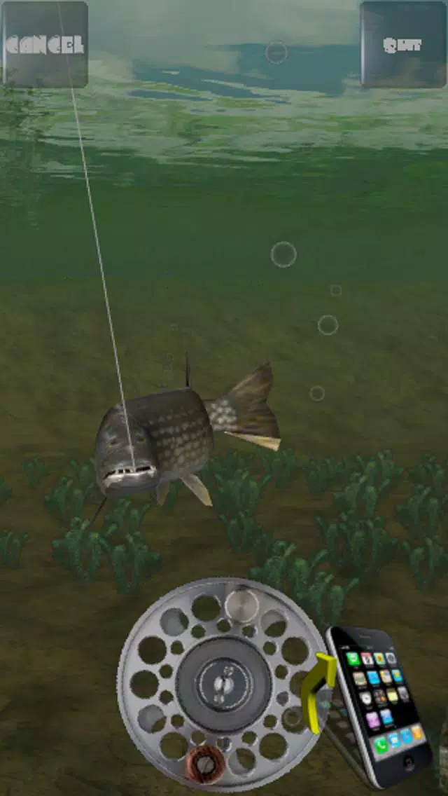 Fishing Arcade Lite Screenshots